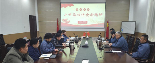 <b>赛摩智能党总支组织召开党的二十届四中全会精</b>